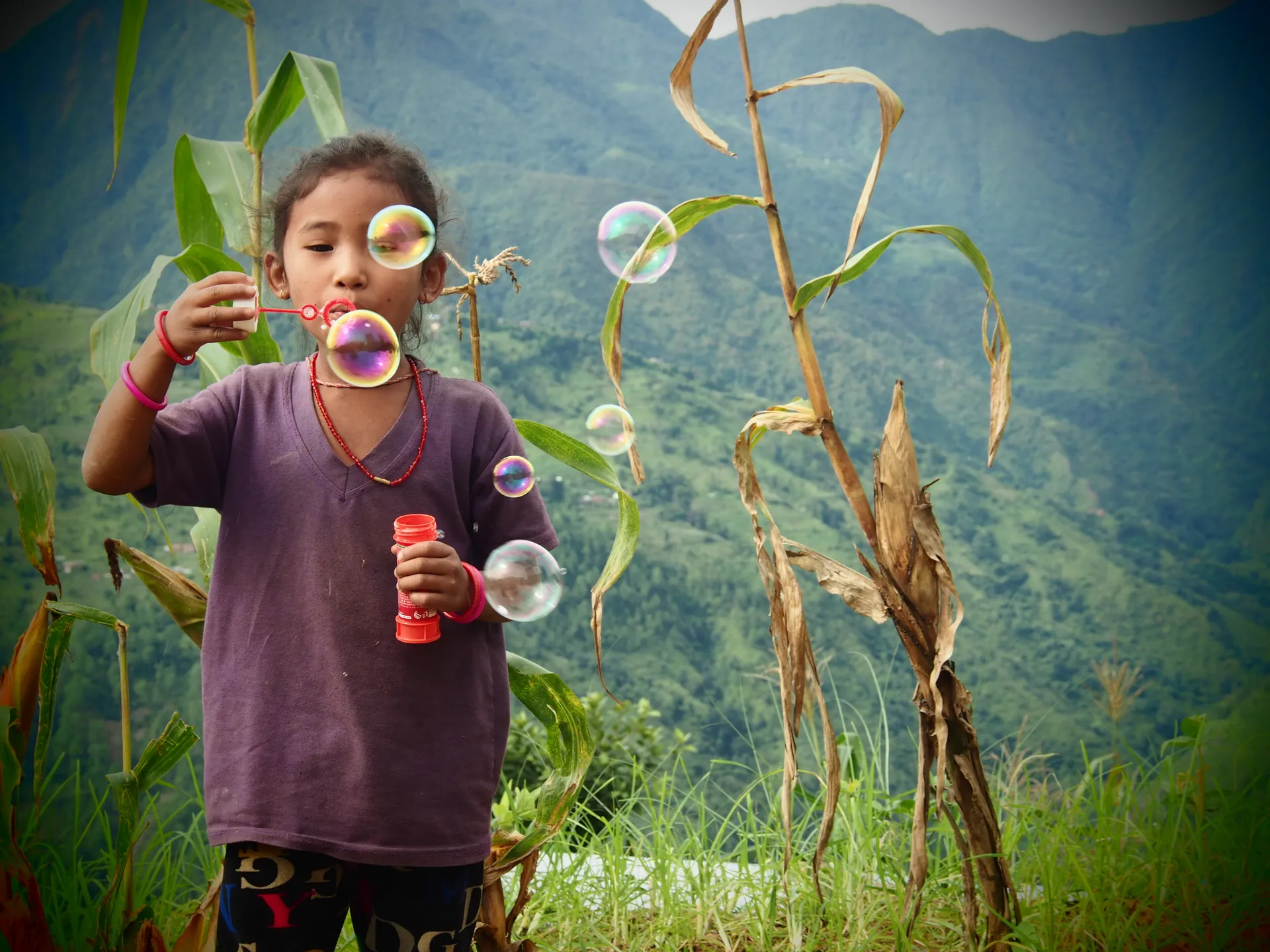 Une petite fille souffle des bulles de savon au milieu de plants de maïs, devant des montagnes verdoyantes.